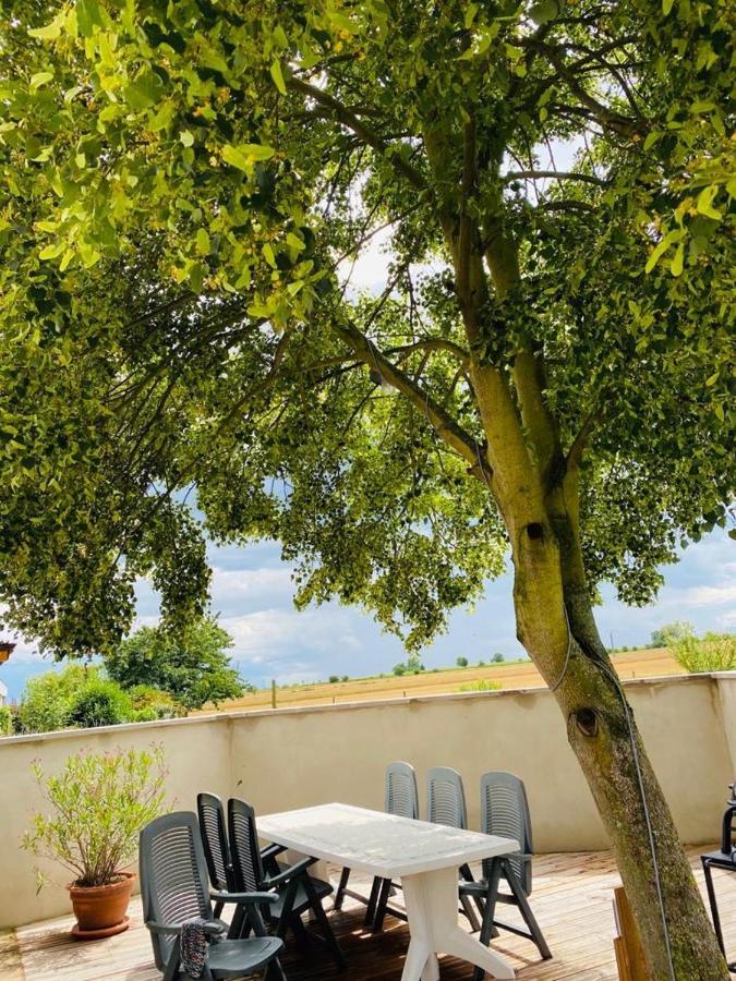 Gite Spa La Grange คินท์ซไฮม์ ภายนอก รูปภาพ