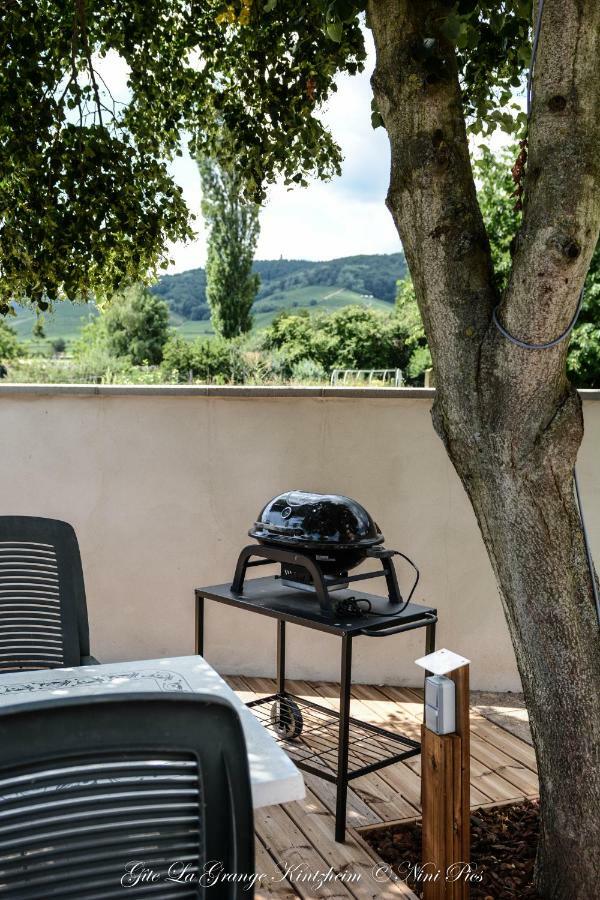Gite Spa La Grange คินท์ซไฮม์ ภายนอก รูปภาพ